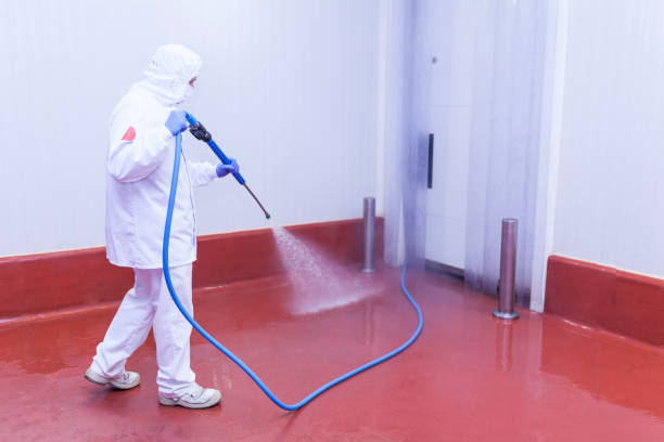 Best Driveway Pressure Washing  in Gulfport, MS