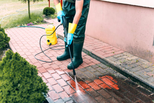 Best Playground Equipment Cleaning  in Gulfport, MS
